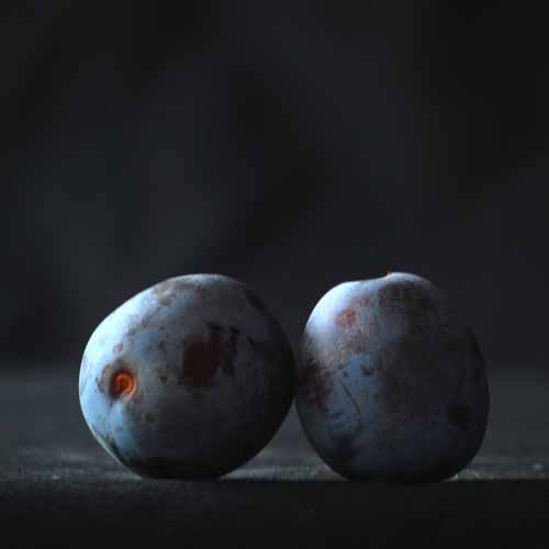 Wangenheims Fruhzwetsche