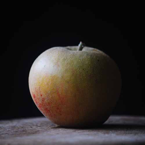 Zabergau Reinette